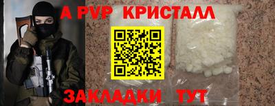 крисы Кингисепп