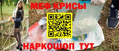 крисы Кингисепп