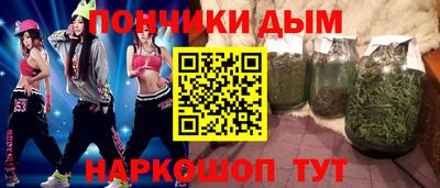крисы Кингисепп