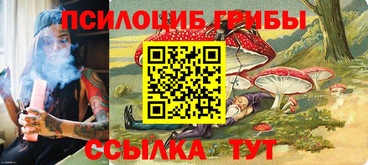 Псилоцибиновые грибы мухоморы Качканар
