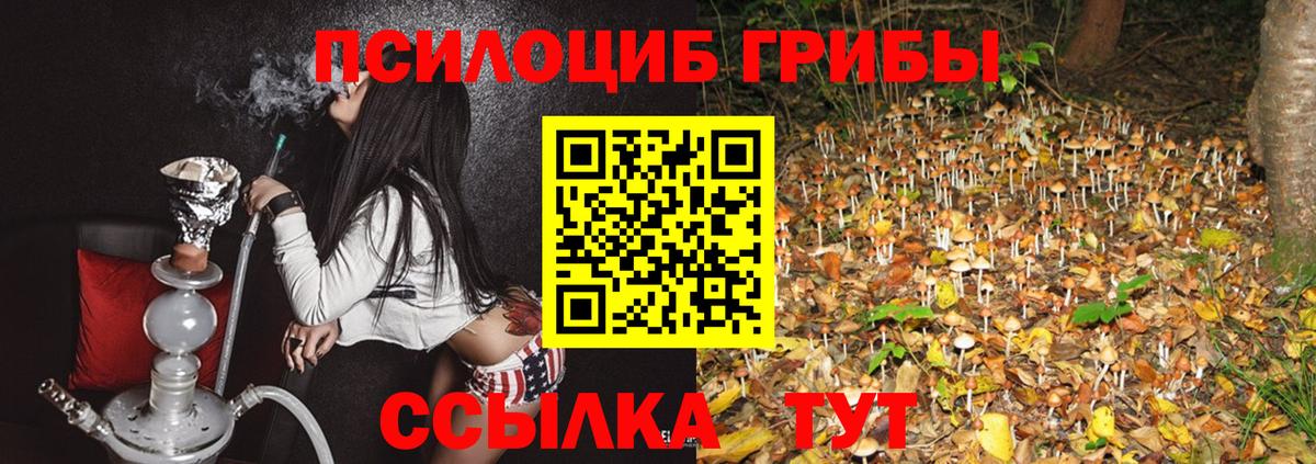 Галлюциногенные грибы Cubensis  Вход с VPN  Качканар 