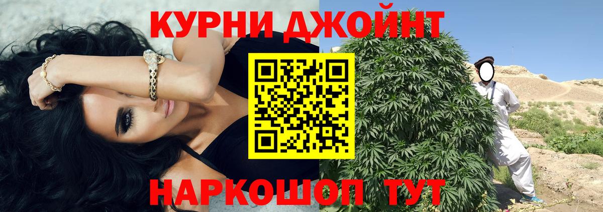 Канабис сатива Качканар